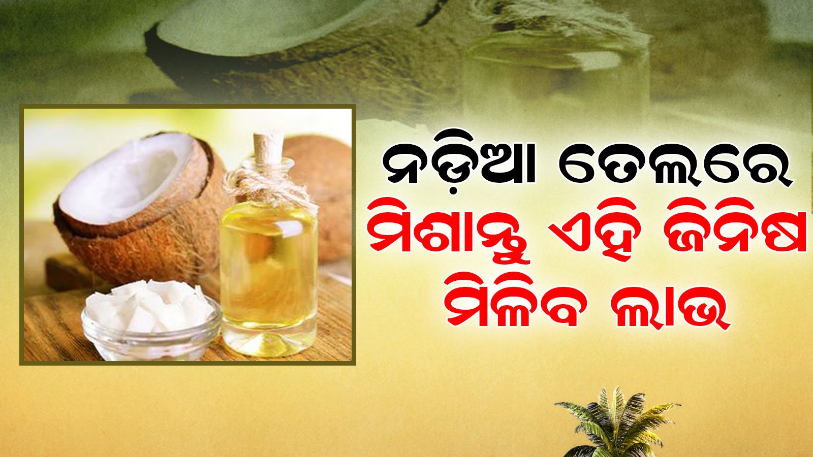 ନଡ଼ିଆ ତେଲରେ ମିଶାନ୍ତୁ ଏହି ଜିନିଷ; ୧୫ ଦିନ ମଧ୍ୟରେ ଲମ୍ବା ହୋଇଯିବ କେଶ Coconut oil curry leaves sesame