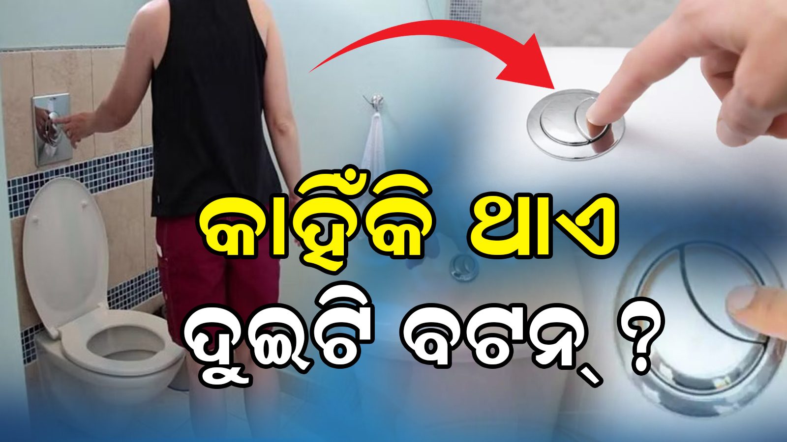 Cleaning Tips ଓ୍ବେଷ୍ଟର୍ଣ୍ଣ ଟଏଲେଟ୍‌ରେ କାହିଁକି ଥାଏ ୨ଟି ଫ୍ଲାସ୍ ବଟନ୍