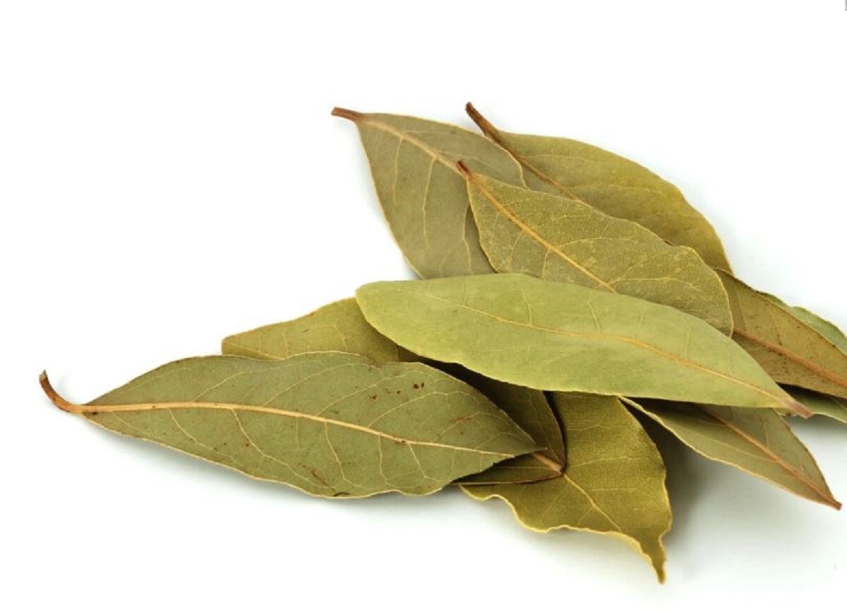 Bay Leaves Benefits ପ୍ରତିଦିନ ରାତିରେ ଘରେ ୧୦ଟି ତେଜପତ୍ର ଜାଳନ୍ତୁ ଓ ଖାଆନ୍ତୁ