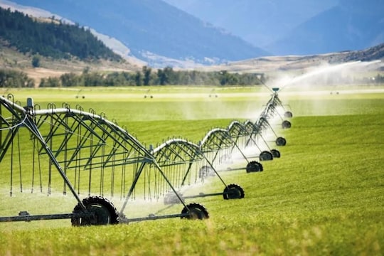 Water Farming: ଏଠି ଫୁଲ କି ଶସ୍ୟ ଚାଷ ନୁହେଁ କରାଯାଏ ପାଣି ଚାଷ; ଜାଣନ୍ତୁ ଉପାୟ ...