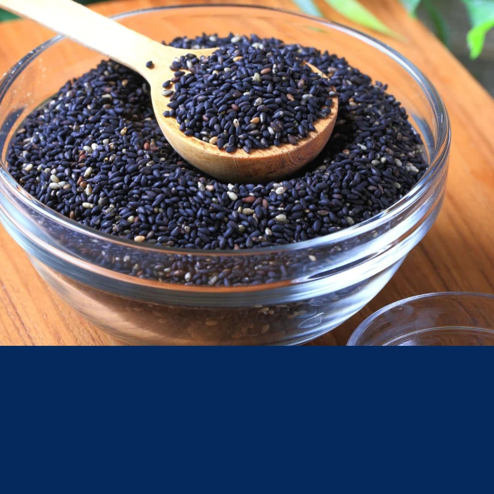 Black Sesame ସୁଗାର ଲେଭଲ୍‌କୁ ମୂଳରୁ ସଫା କରିବ ଏହି ଛୋଟ କଳା ମଞ୍ଜି black