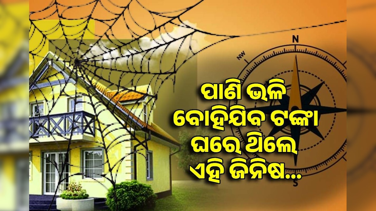 ପାଣି ଭଳି ବୋହିଯାଉଛି କି ଟଙ୍କା? ତୁରନ୍ତ ଘର କୋଣରୁ ହଟାଇଦିଅନ୍ତୁ ଏହି ଜିନିଷ