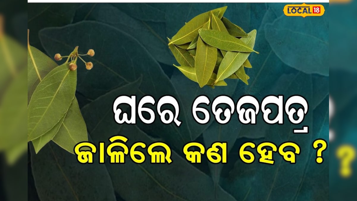 Bay Leaves Benefits ପ୍ରତିଦିନ ରାତିରେ ଘରେ ୧୦ଟି ତେଜପତ୍ର ଜାଳନ୍ତୁ ଓ ଖାଆନ୍ତୁ