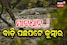 Crocodile: ସାବଧାନ...! ବାଡ଼ି ପଛପଟେ କୁମ୍ଭୀର, ଘରୁ ବାହାରିବାକୁ ପ୍ରବଳ ଭୟ