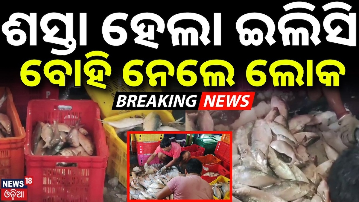 ଟନ୍ ଟନ୍‌ର ଇଲିସି, ଶସ୍ତା ହେଲା ମାଛ ! ବୋହି ନେଉଛନ୍ତି ଲୋକ...