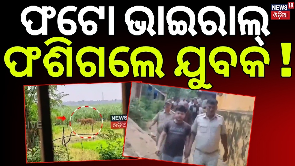 ଯାଜପୁରେ AI ବାଘ, ବନ ବିଭାଗ ନାକେଦମ; ଖୋଜି ଖୋଜି କର୍ମଚାରୀ ହାଲିଆ...