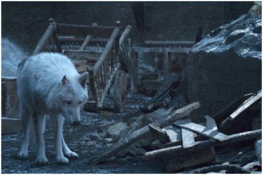 Did Ghost Deserve Better Game Of Thrones Fans Unhappy With Jon Snow