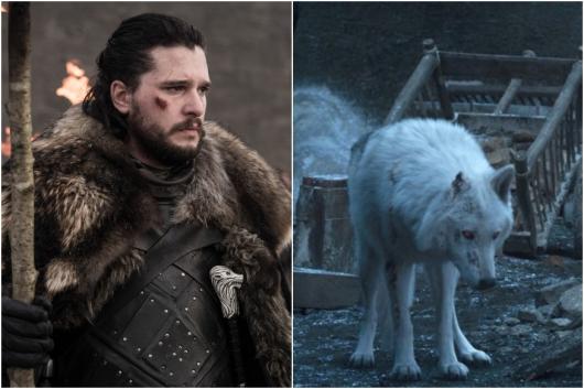 Game Of Thrones Cg Animation Is The Reason Ghost Was Not Petted