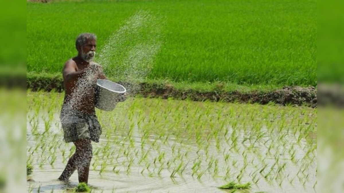 Healthy Punjab Mission Successful in maintaining soil fertility