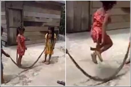 ਮਰੇ ਹੋਏ ਸੱਪ ਨੂੰ ਰੱਸੀ ਬਣਾ ਕੇ ਖੇਡ ਰਹੀ ਸੀ ਬੱਚੀਆਂ, VIDEO ਵੇਖ ਕੇ ਉਡ ਜਾਣਗੇ ਹੋਸ਼