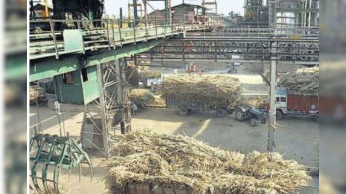ਰਾਣਾ ਗੁਰਜੀਤ ਦੀ ਸ਼ੂਗਰ ਮਿੱਲ ਨੂੰ ਗੰਨੇ ਦੀ ਬੰਪਰ ਅਲਾਟਮੈਂਟ,Bumper allotment of