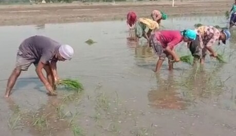 ਬੇਰੁਜ਼ਗਾਰ ਟੈੱਟ ਪਾਸ ਅਧਿਆਪਕ ਦਿਹਾੜੀਆਂ ਕਰਨ ਲਈ ਹੋਏ ਮਜਬੂਰ