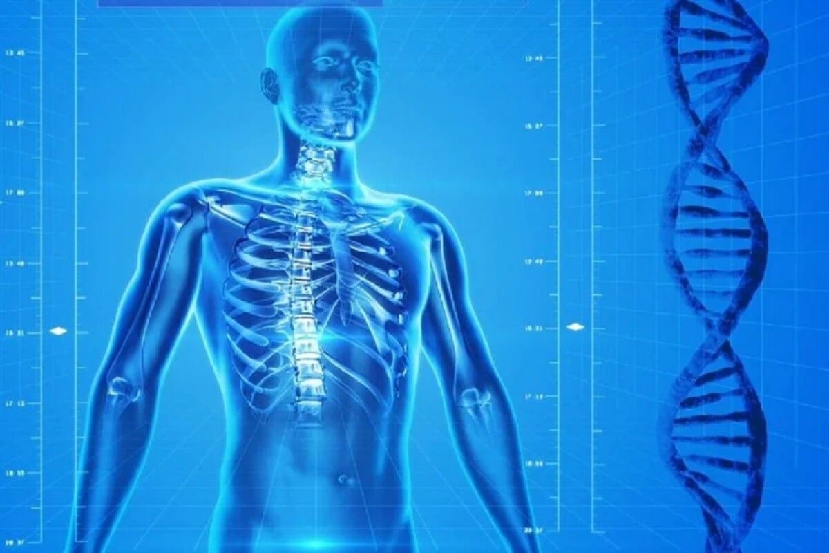  ਕਿਸੇ ਵੀ ਬਿਮਾਰੀ ਦੀ ਸ਼ੁਰੂਆਤ ਢਿੱਡ ਤੋਂ ਹੁੰਦੀ ਹੈ।ਢਿੱਡ ਜੇਕਰ ਠੀਕ ਹੈ ਤਾਂ ਕੋਈ ਰੋਗ ਤੁਹਾਨੂੰ ਛੂਹ ਵੀ ਨਹੀਂ ਸਕਦੇ ਹਨ।ਅਜਿਹਾ ਸਿਰਫ਼ ਘਰ ਦੇ ਵੱਡੇ ਬਜ਼ੁਰਗ ਹੀ ਨਹੀਂ ਸਗੋਂ ਡਾਕਟਰ ਵੀ ਮੰਨਦੇ ਹਨ।ਜੇਕਰ ਤੁਹਾਨੂੰ ਪਾਚਨ ਸਬੰਧੀ ਸਮੱਸਿਆਵਾਂ ਅਕਸਰ ਹੀ ਵਿਆਕੁਲ ਕਰਦੀ ਹੈ ਤਾਂ ਇਹ ਵੀ ਕਮਜ਼ੋਰ ਇੰਮਿਊਨਿਟੀ ਦਾ ਇੱਕ ਸੰਕੇਤ ਹੈ।