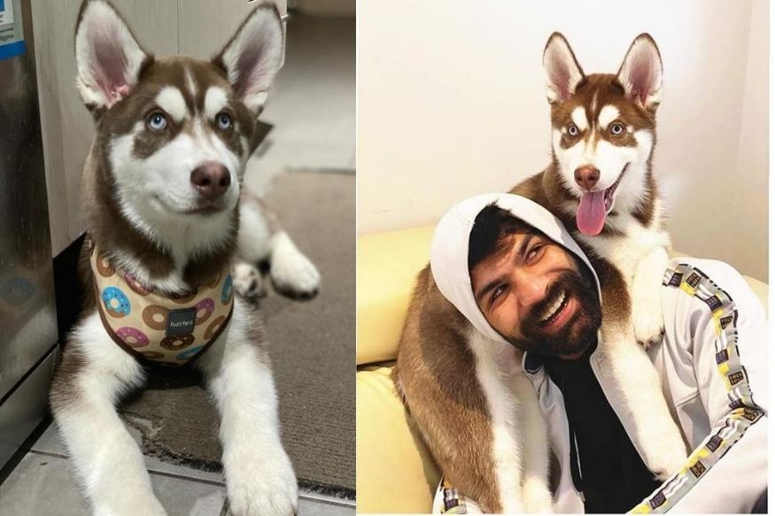  ਜਸ਼ਨ ਇੱਕ ਸਟੂਡੈਂਟ ਹੈ ਅਤੇ ਪਾਰਟ ਟਾਈਮ ਜੌਬ ਕਰਦਾ ਹੈ ਪਰ ਲੌਕਡਾਉਨ ਦੇ ਚਲ਼ ਦੇ ਕਿਤੇ ਬਾਹਰ ਜਾਣਾ ਖ਼ਤਰੇ ਤੋਂ ਖ਼ਾਲੀ ਨਹੀਂ ਹੈ। ਫ਼ੋਨ ਉੱਤੇ ਵੀ ਜ਼ਿਆਦਾ ਟਾਈਮ ਪਾਸ ਨਹੀਂ ਹੋ ਸਕਦਾ।