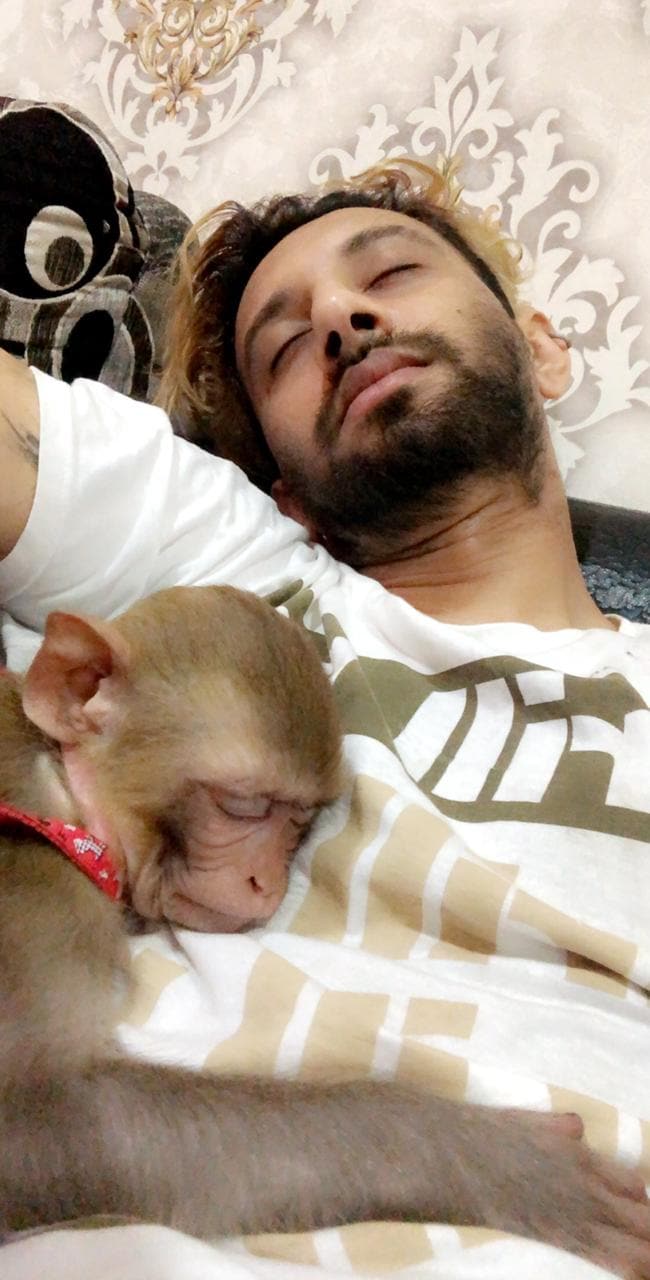  ਇਹ ਕਹਾਣੀ ਫ਼ਿਲਮੀ ਲੱਗਦੀ ਹੈ ਪਰ ਸੱਚ ਹੈ। ਇੱਕ ਸਾਲ ਤੋਂ ਇਹ ਬਾਂਦਰ ਕੇਮਜ਼ ਦੇ ਨਾਲ ਸੀ। ਉਸ ਦੀ ਦੇਖਭਾਲ ਕਰਨਾ , ਖੇਡਣਾ ਉਸਦੇ ਦਿਨ ਦਾ ਰੂਟੀਨ ਬਣ ਗਿਆ।