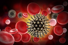 ਖੁਸ਼ਖਬਰੀ! ਇਕ ਇਨਸਾਨ ਦੇ ਸਰੀਰ 'ਚ ਆਪਣੇ-ਆਪ ਠੀਕ ਹੋਇਆ HIV, ਉਮੀਦ ਜਾਗੀ ਖੁਸ਼ਖਬਰੀ! ਇਕ ਇਨਸਾਨ ਦੇ ਸਰੀਰ 'ਚ ਆਪਣੇ-ਆਪ ਠੀਕ ਹੋਇਆ HIV, ਉਮੀਦ ਜਾਗੀ
