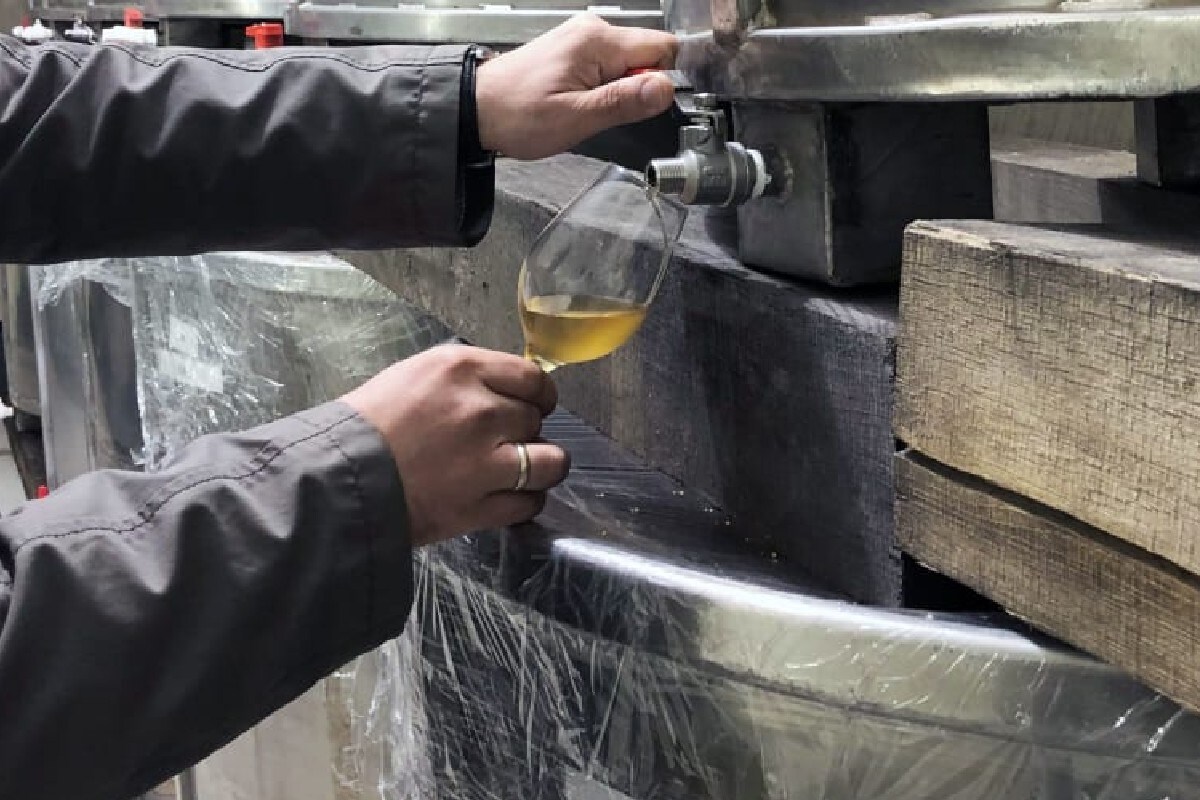  ਇਸ ਸ਼ਰਾਬ ਦੀਆਂ ਬੋਤਲਾਂ ਵੀ ਬੇਹੱਦ ਖਾਸ ਡਿਜਾਈਨ ਨਾਲ ਤਿਆਰ ਕੀਤੀਆਂ ਜਾਂਦੀਆਂ ਹਨ। ਕੰਪਨੀ ਦੇ ਮੁਤਾਬਿਕ ਸ਼ਰਾਬ ਦੀਆਂ 20 ਬੋਤਲਾਂ ਵਿੱਚੋਂ 18 ਬੋਤਲਾਂ ਨੂੰ ਪਿਛਲੇ ਸਾਲ ਲਾਂਚ ਕੀਤਾ ਗਿਆ। ਇਹਨਾਂ ਵਿਚੋਂ 11 ਵਿਕ ਗਈਆਂ ਹਨ। ਬਚੀਆਂ ਹੋਈਆਂ 7 ਬੋਤਲਾਂ ਵੀ ਜਲਦੀ ਵਿਕ ਜਾਣਗੀਆਂ। ਇਸ ਸ਼ਰਾਬ ਦੀ ਐਕਸਾਪਾਇਰੀ ਡੇਟ ਸਾਲ 2300 ਹੈ। (Pic-Social media)