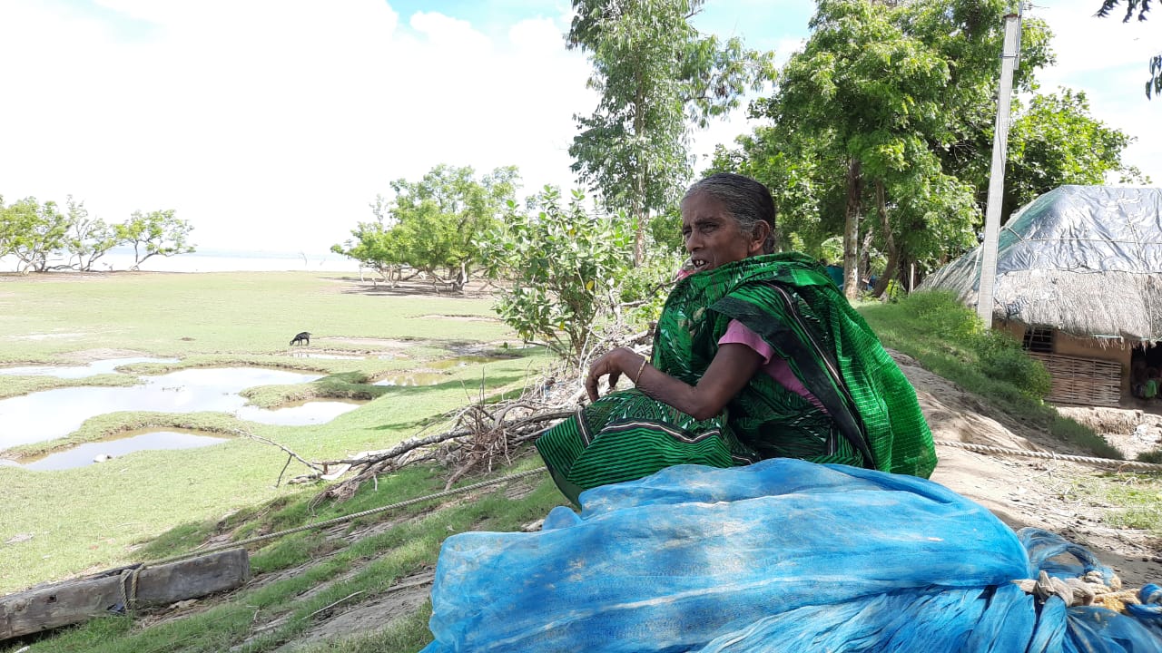  ਸਥਾਨਕ ਲੋਕਾਂ ਨੇ ਦੱਸਿਆ ਕਿ ਇਹ ਮੱਛੀ ਜਿਆਦਾ ਮਾਤਰਾ ਵਿਚ ਸੀ ਅਤੇ ਉਸ  ਨੂੰ ਵੇਚ ਕੇ ਇਸ ਮਹਿਲਾ ਨੂੰ ਕਾਫ਼ੀ ਵੱਡੀ ਰਕਮ ਮਿਲੀ ਹੈ। ਚੰਪਾਪੁਰੀ ਨੂੰ ਇਸ ਮੱਛੀ ਨੂੰ ਨਦੀ ਵਿਚੋਂ  ਕੱਢ ਕੇ ਪਿੰਡ ਤੱਕ ਲਿਆਉਣ ਵਿੱਚ ਭਾਰੀ ਮਸ਼ਕਕਤ ਕਰਨੀ ਪਈ।