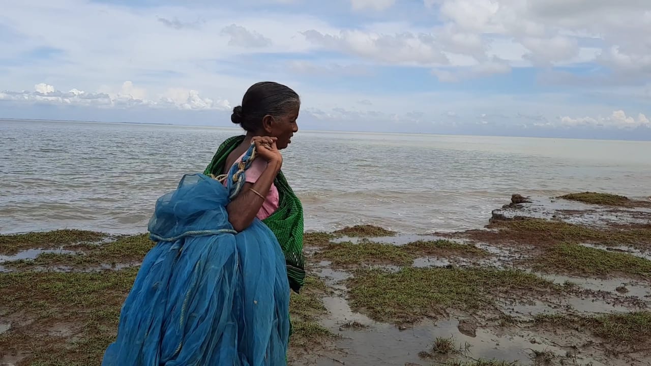  ਪੁਸ਼ਪਾਰਾਨੀ ਇੱਕ ਵਿਧਵਾ ਹੈ ਅਤੇ ਉਸ ਦੇ ਪਰਿਵਾਰ ਵਿੱਚ ਕੋਈ ਨਹੀਂ ਹੈ। ਉਸ ਨੂੰ ਨਹੀਂ ਪਤਾ ਕਿ ਇੰਨਾ ਜ਼ਿਆਦਾ ਪੈਸੇ ਦਾ ਉਹ ਕੀ ਕਰੇਗੀ। 60 ਕਿੱਲੋ  ਦੇ ਇਸ ਮੱਛੀ ਨੇ ਉਸ ਨੂੰ ਅਚਾਨਕ ਹੀ ਅਮੀਰ ਬਣਾ ਦਿੱਤਾ ਹੈ। ਕੁੱਝ ਮਹੀਨਾ ਪਹਿਲਾਂ ਸਾਗਰ ਟਾਪੂ ਦੇ ਚਕਫੁਲਦੁਬੀ ਪਿੰਡ ਵਿੱਚ ਉਸ ਦੀ ਝੋਪੜੀ ਅਮਫਨ ਤੂਫਾਨ ਵਿੱਚ ਉਜੜ ਗਈ ਸੀ। ਉਸ ਨੂੰ ਕਈ ਦਿਨਾਂ ਤੱਕ ਸਰਕਾਰ ਦੇ ਬਣਾਏ ਸ਼ਿਵਿਰ ਵਿੱਚ ਰਹਿਣਾ ਪਿਆ ਸੀ। ਉਸ ਦੀ ਕਿਸੇ ਵਪਾਰੀ ਨੇ 60 ਕਿਲੋ ਦੀ ਮੱਛੀ ਖਰੀਦ ਲਈ ਅਤੇ ਜਿਸਦੀ 3.32 ਲੱਖ ਰੁਪਏ ਕੀਮਤ ਮਿਲ ਗਈ ਹੈ।