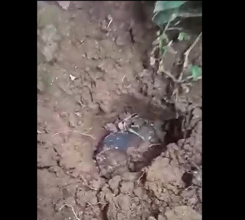  ਜੋਸੁਆ ਨੇ ਕਿਹਾ ਕਿ ਜਦੋਂ ਉਸਨੇ ਇਸਨੂੰ ਜ਼ਮੀਨ ਤੋਂ ਬਾਹਰ ਕੱਢਿਆ ਤਾਂ ਇਹ ਬਹੁਤ ਗਰਮ ਸੀ ਅਤੇ ਅੰਸ਼ਕ ਰੂਪ ਵਿੱਚ ਟੁੱਟ ਗਿਆ ਸੀ। ਜੋਸੁਆ ਨੇ ਕਿਹਾ ਕਿ ਉਲਕਾਪਿੰਡ ਦੇ ਡਿੱਗਣ ਦੀ ਆਵਾਜ਼ ਇੰਨੀ ਉੱਚੀ ਸੀ ਕਿ ਉਸਦੇ ਘਰ ਦੇ ਬਹੁਤ ਸਾਰੇ ਹਿੱਸੇ ਹਿੱਲ ਗਏ। ਉਸਨੇ ਕਿਹਾ, 'ਜਦੋਂ ਮੈਂ ਛੱਤ ਨੂੰ ਵੇਖਿਆ ਤਾਂ ਉਹ ਟੁੱਟ ਗਈ ਸੀ। ਮੈਨੂੰ ਪੂਰਾ ਸ਼ੱਕ ਹੈ ਕਿ ਇਹ ਪੱਥਰ ਨਿਸ਼ਚਤ ਰੂਪ ਤੋਂ ਅਸਮਾਨ ਤੋਂ ਡਿੱਗ ਗਿਆ ਹੈ ਜਿਸ ਨੂੰ ਬਹੁਤ ਸਾਰੇ ਲੋਕ ਉਲਕਾਪਿੰਡ ਕਹਿੰਦੇ ਹਨ। (ਫੋਟੋ- ਸੋਸ਼ਲ ਮੀਡੀਆ)