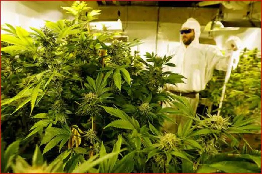  ਜੇ ਤੁਸੀਂ ਆਪਣਾ ਘਰ ਕਿਰਾਏ 'ਤੇ ਦਿੱਤਾ ਹੈ ਤਾਂ ਤੁਹਾਨੂੰ ਸਾਵਧਾਨ ਰਹਿਣ ਦੀ ਜ਼ਰੂਰਤ ਹੈ। ਤੁਹਾਨੂੰ ਇਹ ਵੀ ਨਹੀਂ ਪਤਾ ਹੋਵੇਗਾ ਕਿ ਕਿਰਾਏਦਾਰ ਤੁਹਾਡੇ ਘਰ ਦੀ ਹਾਲਤ ਕੀ ਬਣਾ ਸਕਦੇ ਹਨ।ਅਜਿਹਾ ਹੀ ਕੁਝ ਬ੍ਰਿਟੇਨ ਵਿਚ ਇਕ ਘਰ ਦੀ ਮਾਲਕਣ ਨਾਲ ਹੋਇਆ ਸੀ। ਉਹ ਆਪਣਾ ਘਰ ਕਿਰਾਏ 'ਤੇ ਲੈ ਕੇ ਵਿਸ਼ਵ ਟੂਰ 'ਤੇ ਗਈ ਸੀ। ਜਦੋਂ ਉਹ ਵਾਪਸ ਆਈ ਤਾਂ ਉਸਦੇ ਹੋਸ਼ ਉੱਡ ਗਏ. (ਫੋਟੋ -Reuters)