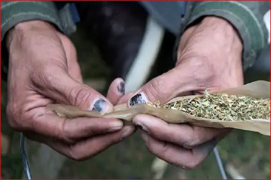  ਤਾਨਿਆ ਨੇ ਪੁਲਿਸ ਨੂੰ ਬੁਲਾਇਆ। ਪੁਲਿਸ ਨੇ ਦੱਸਿਆ ਕਿ ਘਰ ਵਿਚ ਇੰਨੀ ਭੰਗ ਉਗਾਈ ਜਾ ਰਹੀ ਸੀ, ਜਿਸ ਨਾਲ ਸਾਲਾਨਾ ਤਕਰੀਬਨ 8 ਕਰੋੜ ਰੁਪਏ ਦੀ ਕਮਾਈ ਹੋ ਸਕਦੀ ਸੀ। ਤਾਨਿਆ ਨੇ ਦੱਸਿਆ ਕਿ ਜਿਸ ਪਰਿਵਾਰ ਨੂੰ ਉਸਨੇ ਆਪਣਾ ਘਰ ਦਿੱਤਾ ਸੀ ਉਹ ਉਥੋਂ ਭੱਜ ਗਿਆ। ਉਨ੍ਹਾਂ ਨੇ ਕੁਝ ਮਹੀਨਿਆਂ ਤੋਂ ਮਕਾਨ ਦਾ ਕਿਰਾਇਆ ਵੀ ਨਹੀਂ ਅਦਾ ਕੀਤਾ ਸੀ। ਘਰ ਦੀ ਹਾਲਤ ਅਜਿਹੀ ਕਰ ਦਿੱਤੀ ਸੀ ਕਿ ਅਸੀਂ ਮਕਾਨ ਨੂੰ ਅੱਗੇ ਕਿਰਾਏ ਉਤੇ ਵੀ ਨਹੀਂ ਦੇ ਸਕਦੇ ਸੀ। ਬੈਂਕ ਵਾਲੇ ਵੀ ਉਨ੍ਹਾਂ ਨੂੰ ਨਿਰੰਤਰ ਨੋਟਿਸ ਵੀ ਦੇ ਰਹੇ ਹਨ। ਜੇ ਉਨ੍ਹਾਂ ਨੇ ਮਕਾਨ ਦੀ ਕਿਸ਼ਤ ਦਾ ਭੁਗਤਾਨ ਨਾ ਕੀਤਾ ਤਾਂ ਬੈਂਕ ਉਨ੍ਹਾਂ ਦੇ ਘਰ ਦੀ ਨਿਲਾਮੀ ਕਰ ਦੇਵੇਗਾ। ਉਸਨੇ ਬੈਂਕ ਤੋਂ ਲੋਨ ਲੈਕੇ ਘਰ ਖਰੀਦਿਆ ਸੀ। (ਫੋਟੋ- ਨਿਊਜ਼ 18 ਇੰਗਲਿਸ਼)