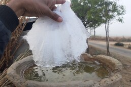 Cold Wave: ਰਾਜਸਥਾਨ 'ਚ ਠੰਡ ਦਾ ਕਹਿਰ, ਖੇਤਾਂ ਨੂੰ ਦਿੱਤਾ ਪਾਣੀ ਬਣਿਆ ਬਰਫ਼