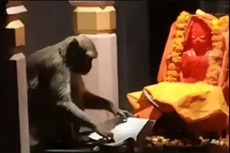 Viral Video: ਸੁੰਦਰ ਕਾਂਡ ਦੇ ਪਾਠ ਦੌਰਾਨ ਹਨੁੰਮਾਨ ਜੀ ਦੇ ਮੰਦਰ ‘ਚ ਆਇਆ ਬਾਂਦਰ, ਪੜ੍ਹਨ ਲੱਗਾ ਰਮਾਇਣ
