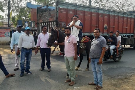 ਖੇਤੀਬਾੜੀ ਮੰਤਰੀ ਨੂੰ ਘੋੜ ਸਵਾਰੀ ਪਈ ਮਹਿੰਗੀ, ਮੰਤਰੀ ਨੂੰ ਘੋੜੇ ਨੇ ਕੱਟਿਆ