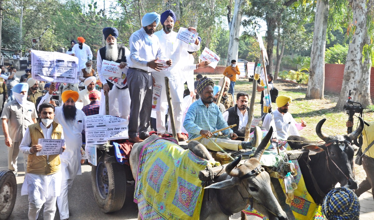 ਇਸ ਤੋਂ ਪਹਿਲਾਂ ਸਵੇਰੇ ਵੇਲੇ ਸ੍ਰੀ ਸ਼ਰਨਜੀਤ ਸਿੰਘ ਢਿੱਲੋਂ ਤੇ ਸ੍ਰੀ ਬਿਕਰਮ ਸਿੰਘ ਮਜੀਠੀਆ ਦੀ ਅਗਵਾਈ ਹੇਠ ਅਕਾਲੀ ਦਲ ਦੇ ਵਿਧਾਇਕ ਬੈਲ ਗੱਡਿਆਂ ’ਤੇ ਸਵਾਰ ਹੋ ਕੇ ਵਿਧਾਨ ਸਭਾ ਪਹੁੰਚੇ ਤਾਂ ਜੋ ਕਾਂਗਰਸ ਸਰਕਾਰ ਵੱਲੋਂ ਪੈਟਰੋਲੀਅਮ ਪਦਾਰਥਾਂ ਦੀਆਂ ਕੀਮਤਾਂ ਵਿਚ ਘੱਟ ਤੋਂ ਘੱਟ 5 ਰੁਪਏ ਪਤੀ ਲੀਟਰ ਦੀ ਕਟੌਤੀ ਕਰਨ ਤੋਂ ਇਨਕਾਰ ਕਰਨ ਵਿਰੁੱਧ ਧਿਆਨ ਖਿੱਚਿਆ ਜਾ ਸਕੇ ਇਸ ਤੋਂ ਪਹਿਲਾਂ ਸਵੇਰੇ ਵੇਲੇ ਸ੍ਰੀ ਸ਼ਰਨਜੀਤ ਸਿੰਘ ਢਿੱਲੋਂ ਤੇ ਸ੍ਰੀ ਬਿਕਰਮ ਸਿੰਘ ਮਜੀਠੀਆ ਦੀ ਅਗਵਾਈ ਹੇਠ ਅਕਾਲੀ ਦਲ ਦੇ ਵਿਧਾਇਕ ਬੈਲ ਗੱਡਿਆਂ ’ਤੇ ਸਵਾਰ ਹੋ ਕੇ ਵਿਧਾਨ ਸਭਾ ਪਹੁੰਚੇ ਤਾਂ ਜੋ ਕਾਂਗਰਸ ਸਰਕਾਰ ਵੱਲੋਂ ਪੈਟਰੋਲੀਅਮ ਪਦਾਰਥਾਂ ਦੀਆਂ ਕੀਮਤਾਂ ਵਿਚ ਘੱਟ ਤੋਂ ਘੱਟ 5 ਰੁਪਏ ਪਤੀ ਲੀਟਰ ਦੀ ਕਟੌਤੀ ਕਰਨ ਤੋਂ ਇਨਕਾਰ ਕਰਨ ਵਿਰੁੱਧ ਧਿਆਨ ਖਿੱਚਿਆ ਜਾ ਸਕੇ