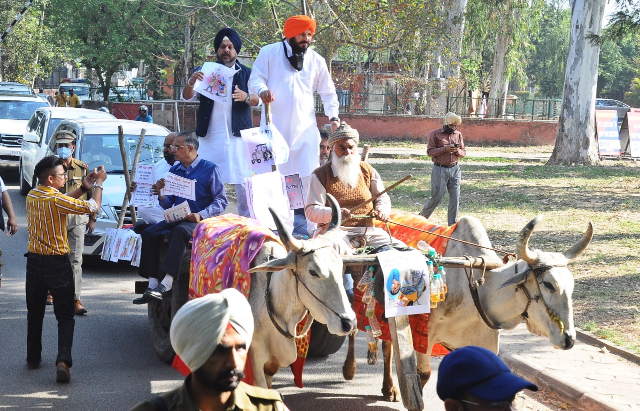 ਵਿਧਾਇਕਾਂ ਨੇ ਲੋਕਾਂ ਨੂੰ ਲੁੱਟਣਾ ਬੰਦ ਕਰੋ ਤੇ ਵੈਟ ਘੱਟ ਕਰੋ ਵਰਗੇ ਨਾਅਰੇ ਵੀ ਲਗਾਏ ਤੇ ਪੰਜਾਬ ਪ੍ਰਦੇਸਸ਼ ਕਾਂਗਰਸ ਕਮੇਟੀ ਦੇ ਪ੍ਰਧਾਨ ਸੁਨੀਲ ਜਾਖੜ ਨੂੰ ਵੀ ਕਰੜੇ ਹੱਥੀਂ ਲਿਆ ਜੋ ਆਪਣੀ ਸਰਕਾਰ ’ਤੇ ਪੈਟਰੋਲੀਅਮ ਪਦਾਰਥਾਂ ’ਤੇ ਵੈਟ ਘਟਾਉਣ ਲਈ ਦਬਾਅ ਬਣਾਉਣ ਦੀ ਥਾਂ ਉਲਟਾ ਪੰਜਾਬੀਆਂ ਨੁੰ ਮੂਰਖ ਬਣਾਉਣ ਦਾ ਯਤਨ ਕਰ ਰਹੇ ਹਨ। ਵਿਧਾਇਕਾਂ ਨੇ ਲੋਕਾਂ ਨੂੰ ਲੁੱਟਣਾ ਬੰਦ ਕਰੋ ਤੇ ਵੈਟ ਘੱਟ ਕਰੋ ਵਰਗੇ ਨਾਅਰੇ ਵੀ ਲਗਾਏ ਤੇ ਪੰਜਾਬ ਪ੍ਰਦੇਸਸ਼ ਕਾਂਗਰਸ ਕਮੇਟੀ ਦੇ ਪ੍ਰਧਾਨ ਸੁਨੀਲ ਜਾਖੜ ਨੂੰ ਵੀ ਕਰੜੇ ਹੱਥੀਂ ਲਿਆ ਜੋ ਆਪਣੀ ਸਰਕਾਰ ’ਤੇ ਪੈਟਰੋਲੀਅਮ ਪਦਾਰਥਾਂ ’ਤੇ ਵੈਟ ਘਟਾਉਣ ਲਈ ਦਬਾਅ ਬਣਾਉਣ ਦੀ ਥਾਂ ਉਲਟਾ ਪੰਜਾਬੀਆਂ ਨੁੰ ਮੂਰਖ ਬਣਾਉਣ ਦਾ ਯਤਨ ਕਰ ਰਹੇ ਹਨ।