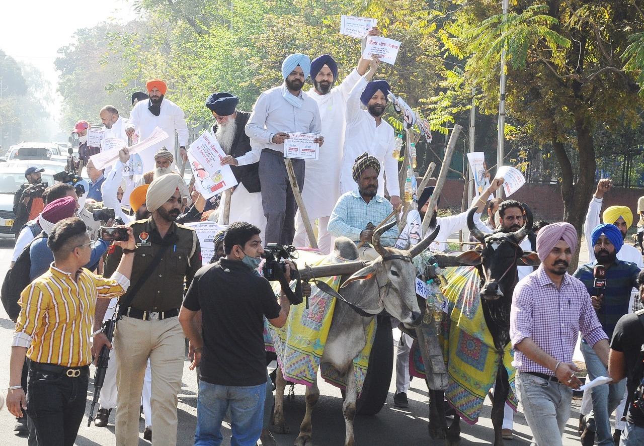 ਜਦੋਂ ਸੱਤਾਧਾਰੀ ਧਿਰ ਨੇ ਇਸ ਮੰਗ ਦਾ ਕੋਈ ਹੁੰਗਾਰਾ ਨਾ ਦਿੱਤਾ ਤਾਂ ਫਿਰ ਅਕਾਲੀ ਦਲ ਦੇ ਵਿਧਾਇਕ ਸਦਨ ਵਿਚੋਂ ਵਾਕ ਆਊਟ ਕਰ ਗਏ। ਜਦੋਂ ਸੱਤਾਧਾਰੀ ਧਿਰ ਨੇ ਇਸ ਮੰਗ ਦਾ ਕੋਈ ਹੁੰਗਾਰਾ ਨਾ ਦਿੱਤਾ ਤਾਂ ਫਿਰ ਅਕਾਲੀ ਦਲ ਦੇ ਵਿਧਾਇਕ ਸਦਨ ਵਿਚੋਂ ਵਾਕ ਆਊਟ ਕਰ ਗਏ।