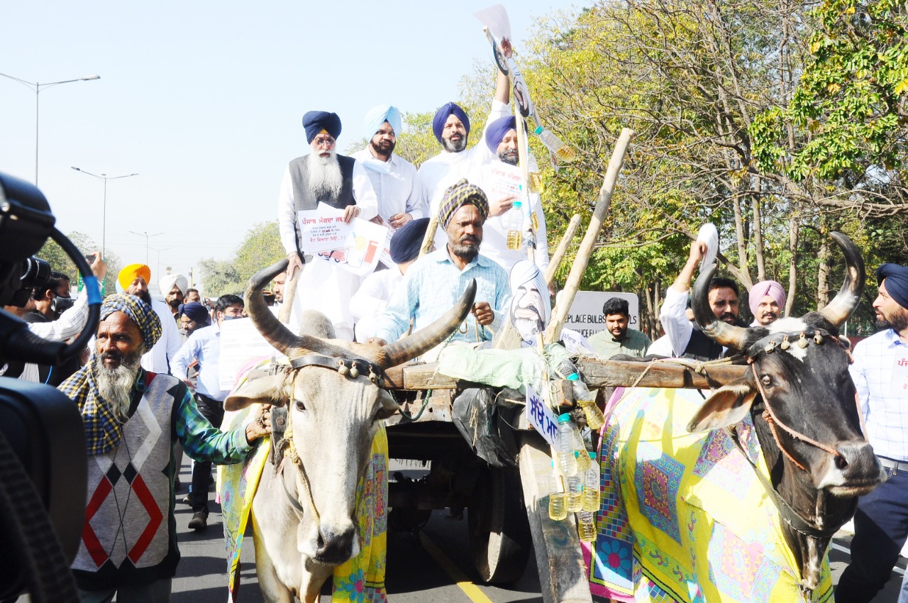 ਇਸ ਦੌਰਾਨ ਇਸ ਮਾਮਲੇ ’ਤੇ ਪੱਤਰਕਾਰਾਂ ਨਾਲ ਗੱਲਬਾਤ ਕਰਦਿਆਂ ਸ੍ਰੀ ਬਿਕਰਮ ਸਿੰਘ ਮਜੀਠੀਆ ਨੇ ਕਿਹਾ ਕਿ ਵਿੱਤ ਮੰਤਰੀ ਮਨਪ੍ਰੀਤ ਸਿੰਘ ਬਾਦਲ ਤੇ ਮੁੱਖ ਮੰਤਰੀ ਕੈਪਟਨ ਅਮਰਿੰਦਰ ਸਿੰਘ ਦੀ ਇਹ ਜ਼ਿੰਮੇਵਾਰੀ ਹੈ ਕਿ ਉਹ ਪੰਜਾਬ ਵਿਚ ਪੈਟਰੋਲੀਅਮ ਪਦਾਰਥਾਂ ’ਤੇ ਵਸੂਲਿਆ ਜਾ ਰਿਹਾ ਬਹੁਤ ਜ਼ਿਆਦਾ ਵੈਟ ਘੱਟ ਕਰਨ। ਇਸ ਦੌਰਾਨ ਇਸ ਮਾਮਲੇ ’ਤੇ ਪੱਤਰਕਾਰਾਂ ਨਾਲ ਗੱਲਬਾਤ ਕਰਦਿਆਂ ਸ੍ਰੀ ਬਿਕਰਮ ਸਿੰਘ ਮਜੀਠੀਆ ਨੇ ਕਿਹਾ ਕਿ ਵਿੱਤ ਮੰਤਰੀ ਮਨਪ੍ਰੀਤ ਸਿੰਘ ਬਾਦਲ ਤੇ ਮੁੱਖ ਮੰਤਰੀ ਕੈਪਟਨ ਅਮਰਿੰਦਰ ਸਿੰਘ ਦੀ ਇਹ ਜ਼ਿੰਮੇਵਾਰੀ ਹੈ ਕਿ ਉਹ ਪੰਜਾਬ ਵਿਚ ਪੈਟਰੋਲੀਅਮ ਪਦਾਰਥਾਂ ’ਤੇ ਵਸੂਲਿਆ ਜਾ ਰਿਹਾ ਬਹੁਤ ਜ਼ਿਆਦਾ ਵੈਟ ਘੱਟ ਕਰਨ।