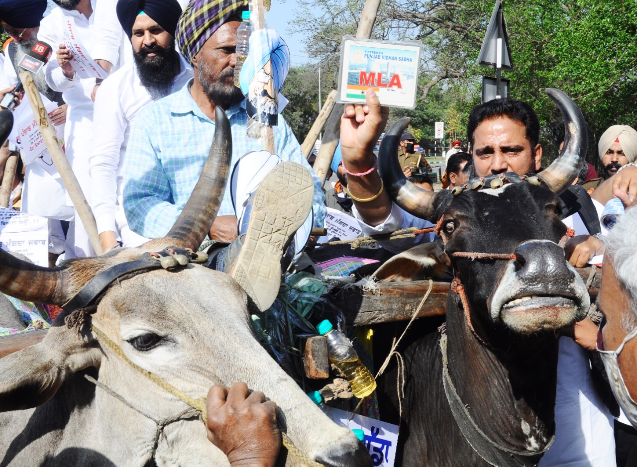 ਉਹਨਾਂ ਕਿਹਾ ਕਿ ਬਜਾਏ ਮਸਲਾ ਹੱਲ ਕਰਨ ਦੇ ਰਾਜ ਸਰਕਾਰ ਆਪਣੀ ਜ਼ਿੰਮੇਵਾਰੀ ਨੂੰ ਕੇਂਦਰ ਸਿਰ ਪਾਉਣ ਦਾ ਯਤਨ ਕਰ ਰਹੀ ਹੈ। ਉਹਨਾਂ ਕਿਹਾ ਕਿ ਬਜਾਏ ਮਸਲਾ ਹੱਲ ਕਰਨ ਦੇ ਰਾਜ ਸਰਕਾਰ ਆਪਣੀ ਜ਼ਿੰਮੇਵਾਰੀ ਨੂੰ ਕੇਂਦਰ ਸਿਰ ਪਾਉਣ ਦਾ ਯਤਨ ਕਰ ਰਹੀ ਹੈ।