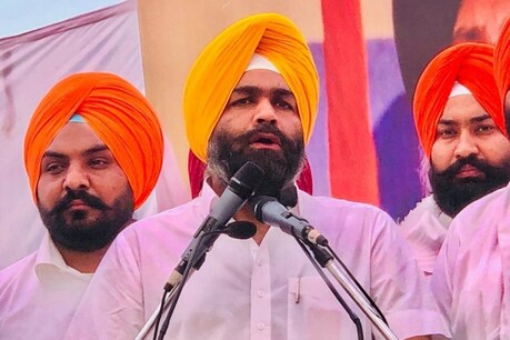 CM ਨੇ ਨੌਜਵਾਨਾਂ ਨੂੰ 55 ਲੱਖ ਨੌਕਰੀਆਂ ਦਾ ਵਾਅਦਾ ਕਰ ਕੇ ਸਿਰਫ 35000 ਨੌਕਰੀਆਂ ਦਿੱਤੀਆਂ : ਯੂਥ ਅਕਾਲੀ ਦਲ