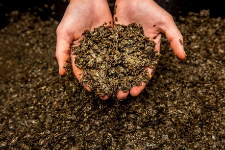 25 ਹਜ਼ਾਰ ਰੁਪਏ ਨਾਲ ਸ਼ੁਰੂ ਕਰੋ ਇਹ ਕਾਰੋਬਾਰ, ਹਰ ਮਹੀਨੇ 3 ਲੱਖ ਰੁਪਏ ਦੀ ਕਮਾਈ ਹੋਵੇਗੀ, ਸਰਕਾਰ 50% ਸਬਸਿਡੀ ਦੇਵੇਗੀ