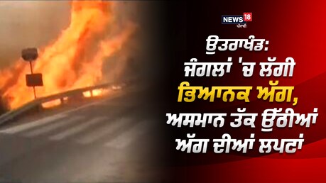 ਉਤਰਾਖੰਡ: ਜੰਗਲਾਂ 'ਚ ਲੱਗੀ ਭਿਆਨਕ ਅੱਗ, ਅਸਮਾਨ ਤੱਕ ਉੱਠੀਆਂ ਅੱਗ ਦੀਆਂ ਲਪਟਾਂ