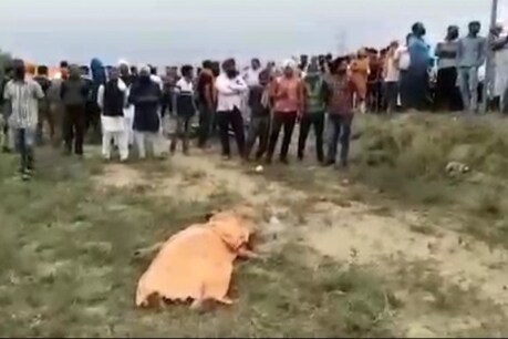 ਦੀਨਾਨਗਰ ਦੇ ਦਬੁਰਜੀ ਬਾਈਪਾਸ ਤੇ ਹੋਈ ਸੜਕ ਦੁਰਘਟਨਾ 'ਚ ਔਰਤ ਦੀ ਮੌਤ ਨੌਜਵਾਨ ਜਖਮੀ