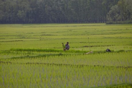 Bonded Labour: ਮਜ਼ਦੂਰਾਂ ਨੂੰ ਨਸ਼ੇ ਦੇ ਕੇ ਖੇਤੀ ਕਰਵਾਉਣ ਦੇ ਮਾਮਲੇ ਵਿੱਚ ਕੇਂਦਰ ਨੇ ਮੁੱਖ ਸਕੱਤਰ, ਡੀ ਜੀ ਪੀ ਤੋਂ ਮੰਗਿਆ ਜਵਾਬ