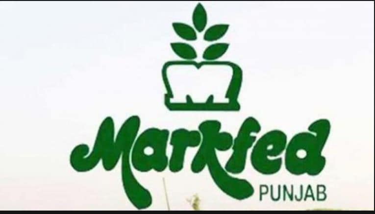 Markfed launches vaccination campaign