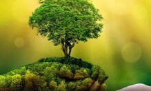 World Nature Conservation Day 2021: ਕੁਦਰਤੀ ਸਰੋਤਾਂ ਦੀ ਸੰਭਾਲ ਲਈ ਵਰਤੋਂ ਇਹ ਢੰਗ