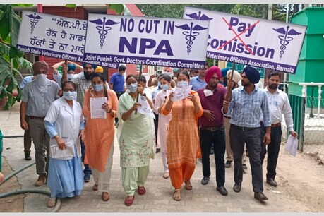 ਪੇ-ਕਮਿਸ਼ਨ ਵਿਰੁੱਧ ਸਰਕਾਰੀ ਹਸਪਤਾਲ ਦੇ ਡਾਕਟਰਾਂ ਵੱਲੋਂ ਤੀਜੇ ਦਿਨ ਵੀ ਹੜਤਾਲ ਜਾਰੀ