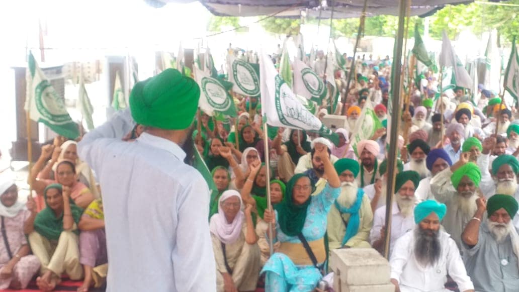 Farmers expose MSP on 301st day of dharna, women cheer for Delhi march