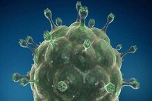 HIV: ਵਿਸ਼ਵ ਦੀ ਪਹਿਲੀ ਔਰਤ ਨੇ ਕੀਤਾ ਵਾਇਰਸ ਤੋਂ ਠੀਕ ਹੋਣ ਦਾ ਦਾਅਵਾ