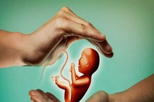 ਕੀ IVF ਦੁਆਰਾ ਪੈਦਾ ਹੋਏ ਬੱਚਿਆਂ ਵਿੱਚ ਹੁੰਦੇ ਜਨਮ ਦੋਸ਼? ਜਾਣੋ, ਇਹ ਹਨ ਮਿੱਥ ਅਤੇ ਤੱਥ