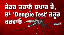 Dengue Test: ਬੁਖਾਰ ਦੇ ਸ਼ਿਕਾਰ ਜ਼ਰੂਰ ਕਰਵਾਓ ਡੇਂਗੂ ਟੈਸਟ, ਸਿਹਤ ਵਿਭਾਗ ਦਾ ਹੋਵੇਗਾ ਪੂਰਾ ਧਿਆਨ