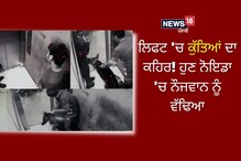ਹੁਣ ਨੋਇਡਾ 'ਚ ਪਾਲਤੂ ਕੁੱਤੇ ਨੇ ਲਿਫਟ 'ਚ ਨੌਜਵਾਨ ਨੂੰ ਵੱਢਿਆ, ਵੇਖੋ ਵੀਡੀਓ ਹੁਣ ਨੋਇਡਾ 'ਚ ਪਾਲਤੂ ਕੁੱਤੇ ਨੇ ਲਿਫਟ 'ਚ ਨੌਜਵਾਨ ਨੂੰ ਵੱਢਿਆ, ਵੇਖੋ ਵੀਡੀਓ