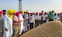 ਕਿਸਾਨਾਂ ਦੀ ਫ਼ਸਲ ਦਾ ਇੱਕ-ਇੱਕ ਦਾਣਾ ਖਰੀਦਣਾ ਯਕੀਨੀ ਬਣਾਇਆ ਜਾਵੇਗਾ : ਧਾਲੀਵਾਲ