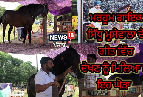 ਬੰਬੀਹਾ