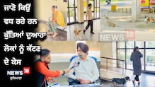 Dog Bite: ਕੁੱਤਿਆਂ ਦੁਆਰਾ ਲੋਕਾਂ ਨੂੰ ਕੱਟਣ ਦੇ ਵੱਧ ਰਹੇ ਕੇਸ, ਜਾਣੋ ਕੀ ਹੈ ਵਜ੍ਹਾ Dog Bite: ਕੁੱਤਿਆਂ ਦੁਆਰਾ ਲੋਕਾਂ ਨੂੰ ਕੱਟਣ ਦੇ ਵੱਧ ਰਹੇ ਕੇਸ, ਜਾਣੋ ਕੀ ਹੈ ਵਜ੍ਹਾ